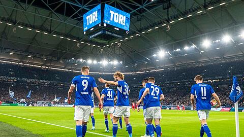 Nach langer Zeit konnte Schalke wieder über einen Sieg jubeln.