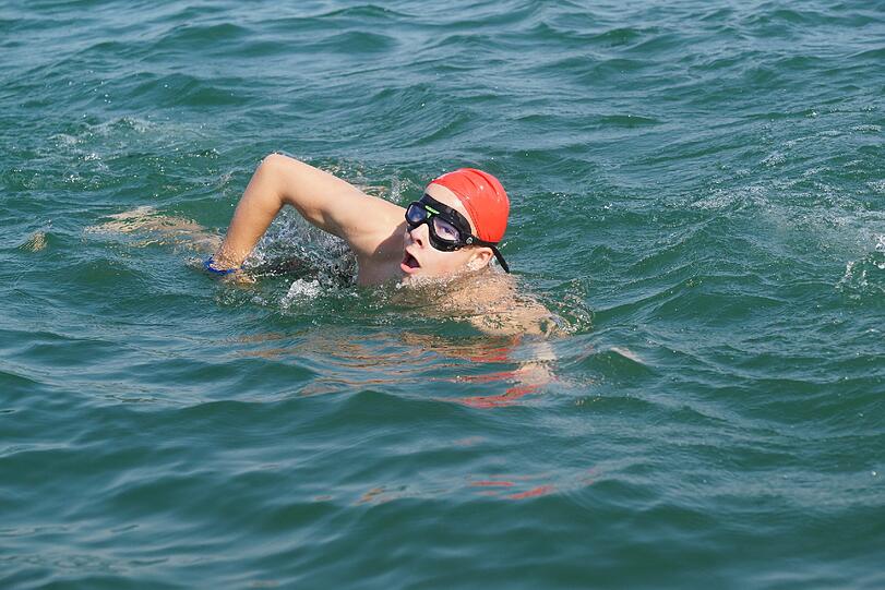 Die Bilder vom Starnberger See Schwimmen!