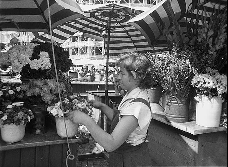 Frische Blumen am Markt &ndash; die Schirme schützen vor der sengenden Sonne.