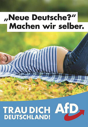 Die Wahlplakate der AfD für den Bundestagswahlkampf 2017.
