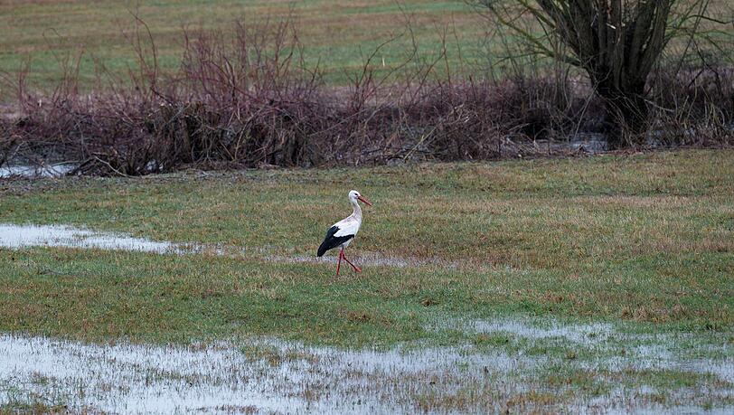 Die Woche startete nass und ungem&uuml;tlich.