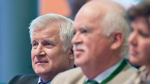 Parteifreunde? - CSU-Chef Horst Seehofer (l.) und Peter Gauweiler.