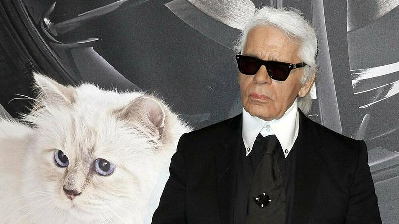 Karl Lagerfelds Katze Choupette wird zum Werbegesicht.
