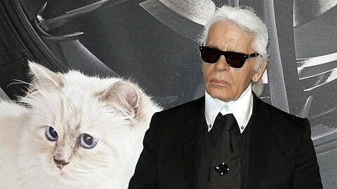 Karl Lagerfelds Katze Choupette wird zum Werbegesicht.