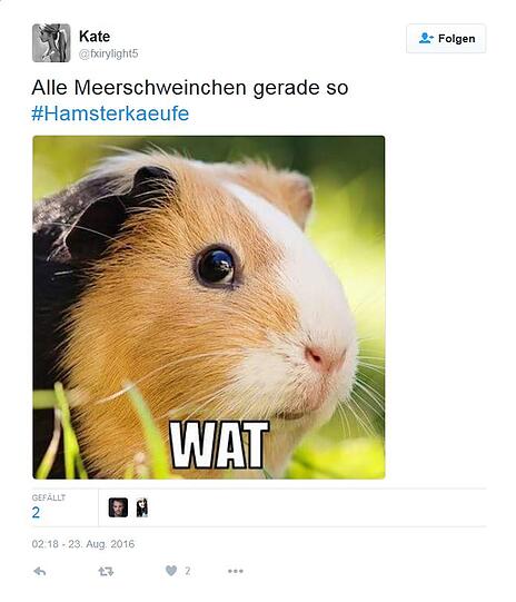So amüsieren sich Twitter-User über die Hamsterkäufe im Konzept zur Zivilverteidigung.