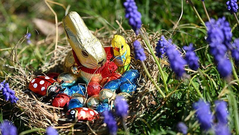 Ein gefülltes Osternest ist in einem Garten zwischen Frühlingsblumen versteckt. Ein gefülltes Osternest ist in einem Garten zwischen Frühlingsblumen versteckt.