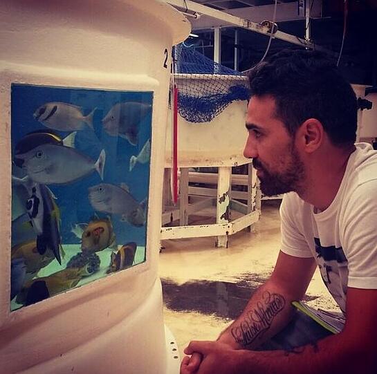 Der Rapper beobachtet Fische im "Cairns Marine Aquarium" in Australien