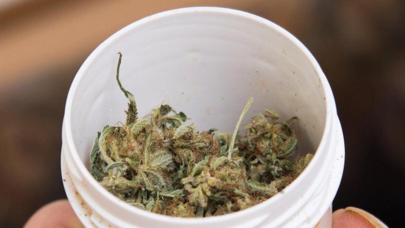 Marlene Mortler, die Drogenbeauftragte der Bundesregierung, hält medizinisches Cannabis nicht für "die erste Wahl". Marlene Mortler, die Drogenbeauftragte der Bundesregierung, hält medizinisches Cannabis nicht für "die erste Wahl".