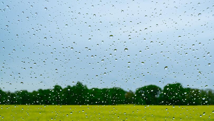 Regen wird es auch in den kommenden Tagen geben.