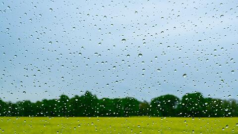 Regen wird es auch in den kommenden Tagen geben.