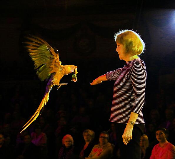 Ellen Kessler mit Papagei in der Manege