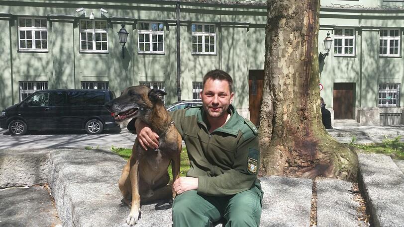 Hund Cox mit seinem Herrchen Christoph Lipp.