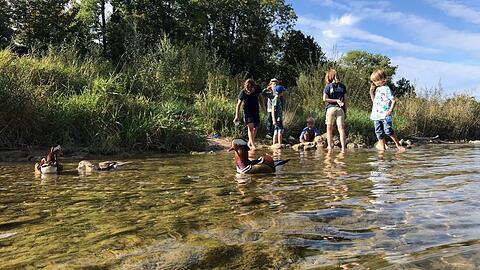 Im Wasser lässt sich so einiges entdecken: Diese Mandarinente ist von den Naturkindern eher unbeeindruckt.