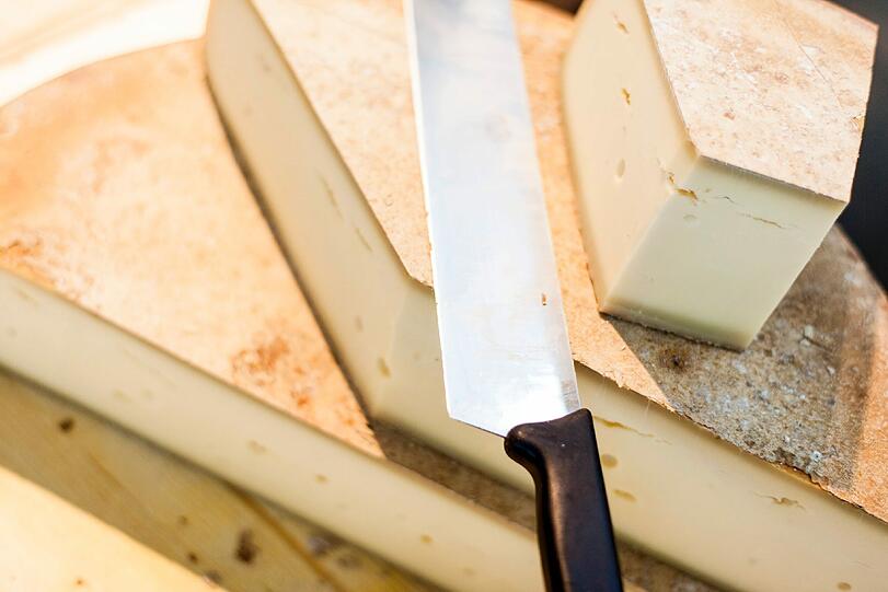 Von würzig bis mild: Käse in all seiner Vielfalt.
