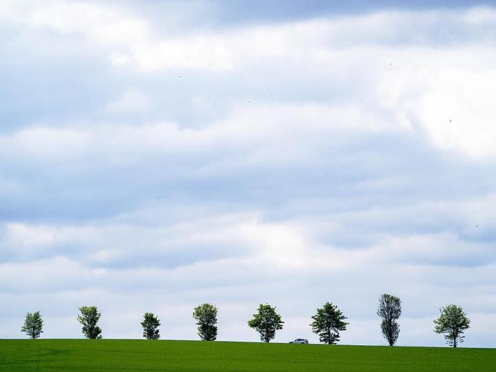 Ein Auto fährt vor einem bewölkten Himmel an Bäumen vorbei. Foto: Jonas Güttler/dpa/Archivbild