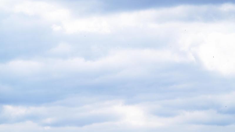 Ein Auto fährt vor einem bewölkten Himmel an Bäumen vorbei. Foto: Jonas Güttler/dpa/Archivbild Ein Auto fährt vor einem bewölkten Himmel an Bäumen vorbei. Foto: Jonas Güttler/dpa/Archivbild