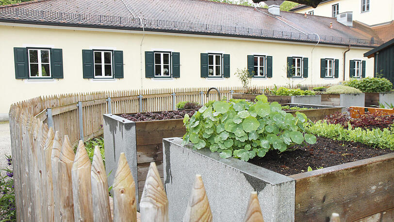 Klein aber fein: Den Garten hinter dem 1804 Hirschau mitten im Englischen Garten bewirtschaftet der Koch selbst. Kurz bevor die Gäste kommen, geht das Team mit Körben ausgestattet hier her und erntet das, was in der Küche gebraucht wird. Klein aber fein: Den Garten hinter dem 1804 Hirschau mitten im Englischen Garten bewirtschaftet der Koch selbst. Kurz bevor die Gäste kommen, geht das Team mit Körben ausgestattet hier her und erntet das, was in der Küche gebraucht wird.