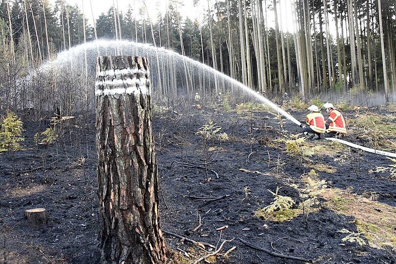 In der Nähe von Landshut standen am Freitagabend knapp 20.000 Quadratmeter Wald in Flammen. Rund 300 Einsatzkräfte waren bis tief in die Nacht im Einsatz, um den Brand unter Kontrolle zu bekommen.