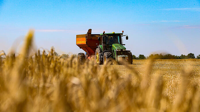Ein Mähdrescher erntet Getreide auf einem Feld in der Region Odessa im Süden der Ukraine. (Symbolbild)
