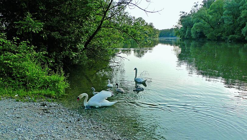 Am Abend wird es beschaulich an der Amper. Am Abend wird es beschaulich an der Amper.