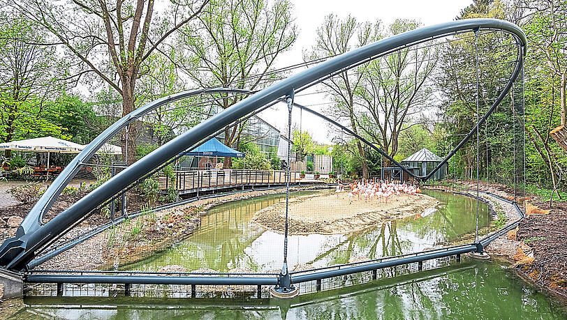 100 Flamingos finden in der neuen Anlage Platz. 100 Flamingos finden in der neuen Anlage Platz.
