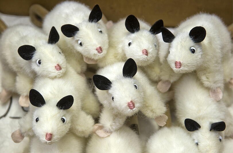 Viele schielende Beutelratten aus Plüsch