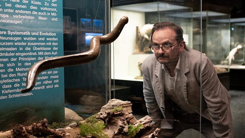 "Danowski: Neunauge": Adam Danowski (Milan Peschel) schaut sich im Naturkundemuseum um. "Danowski: Neunauge": Adam Danowski (Milan Peschel) schaut sich im Naturkundemuseum um.
