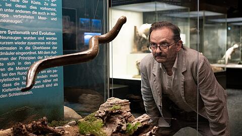 "Danowski: Neunauge": Adam Danowski (Milan Peschel) schaut sich im Naturkundemuseum um.
