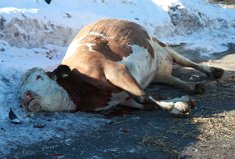 Hustenanfall! Die Bilder vom Unfall...