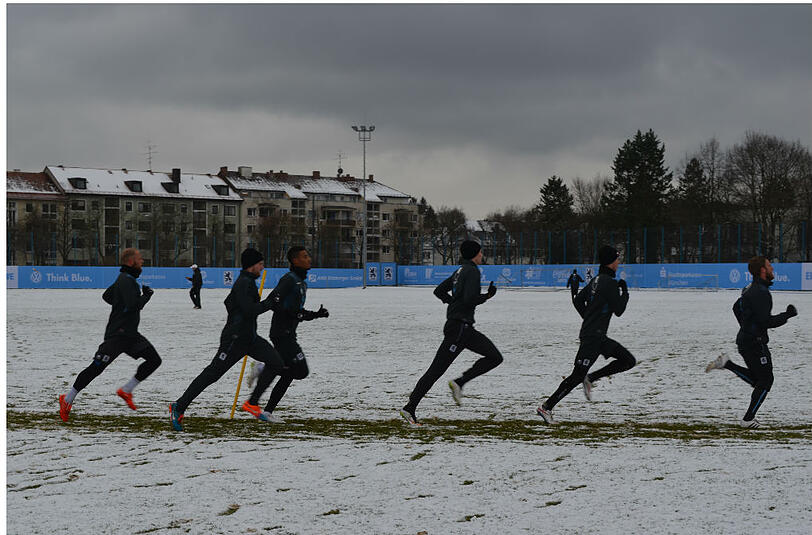 Mussten am Donnerstagvormittag ordentlich durchpusten: die Löwen beim Intervalltraining.