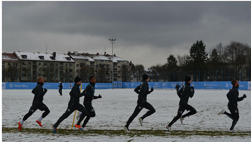 Mussten am Donnerstagvormittag ordentlich durchpusten: die Löwen beim Intervalltraining.