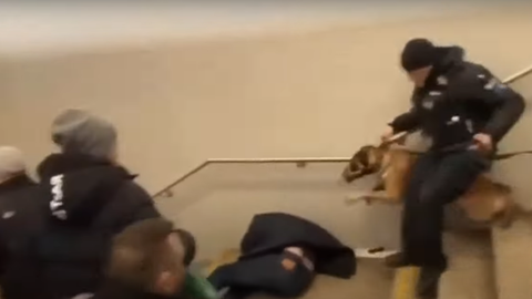 Screenshot aus dem Video, das im Internet kursiert. Zu sehen ist, wie ein Polizist einen Mann von hinten eine Treppe herunter tritt.
