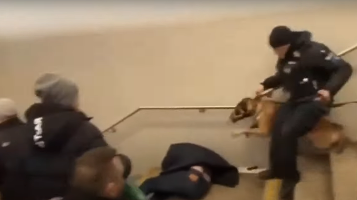 Screenshot aus dem Video, das im Internet kursiert. Zu sehen ist, wie ein Polizist einen Mann von hinten eine Treppe herunter tritt.