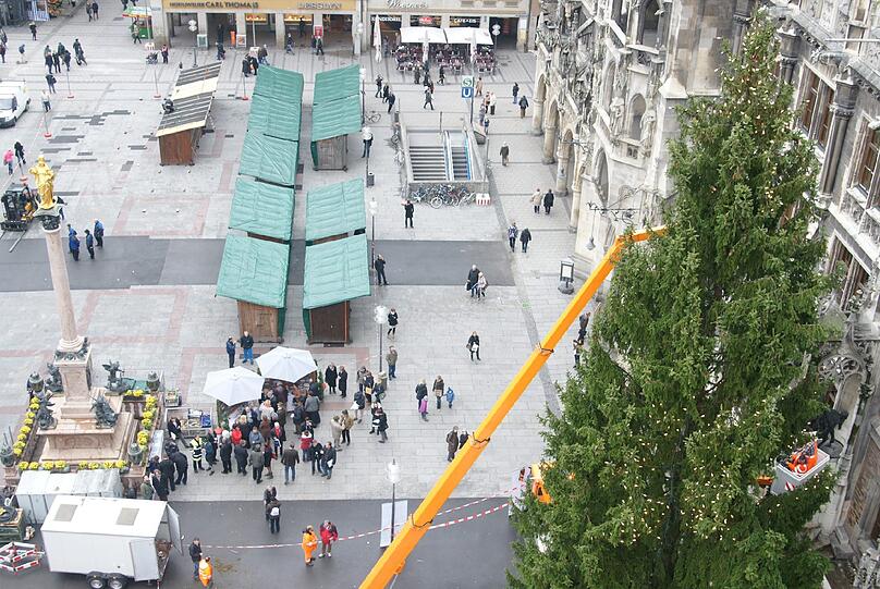 Am Marienplatz wurde am Montag der traditionelle Christbaum aufgestellt.