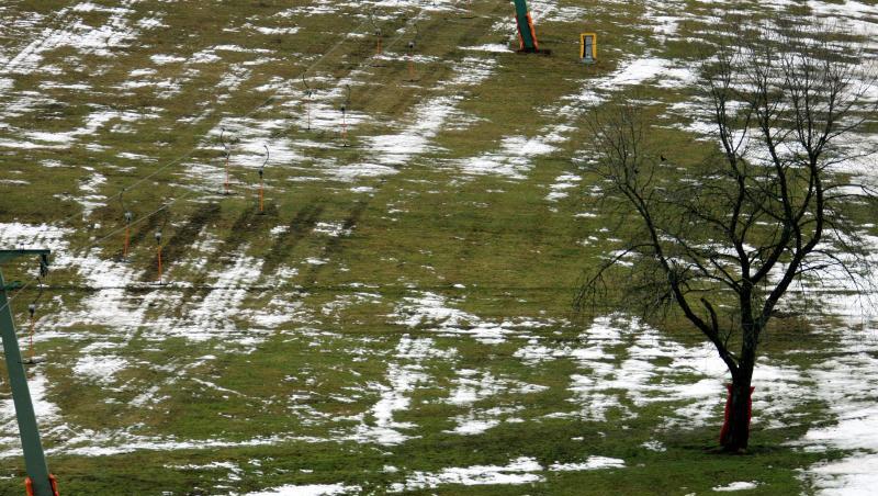 Ein Schneekanone steht in einem grün-weißen Fleckenteppich an einer Skipiste. Foto: Patrick Seeger/dpa Ein Schneekanone steht in einem grün-weißen Fleckenteppich an einer Skipiste. Foto: Patrick Seeger/dpa