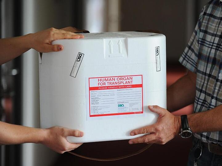 Eine Organtransportbox in den Räumen der Deutschen Stiftung Organtransplantation (DSO) in Berlin. In der Debatte um neue Regeln für Organspenden in Deutschland wird ein Gegenentwurf zur umstrittenen Widerspruchslösung vorgestellt.