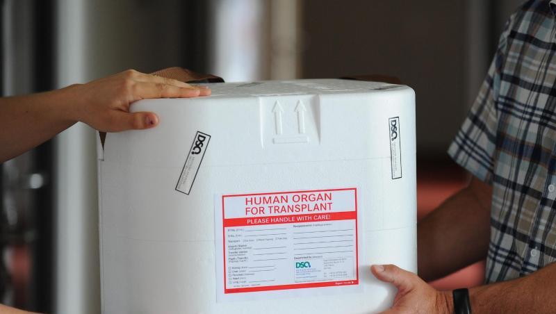Eine Organtransportbox in den Räumen der Deutschen Stiftung Organtransplantation (DSO) in Berlin. In der Debatte um neue Regeln für Organspenden in Deutschland wird ein Gegenentwurf zur umstrittenen Widerspruchslösung vorgestellt. Eine Organtransportbox in den Räumen der Deutschen Stiftung Organtransplantation (DSO) in Berlin. In der Debatte um neue Regeln für Organspenden in Deutschland wird ein Gegenentwurf zur umstrittenen Widerspruchslösung vorgestellt.
