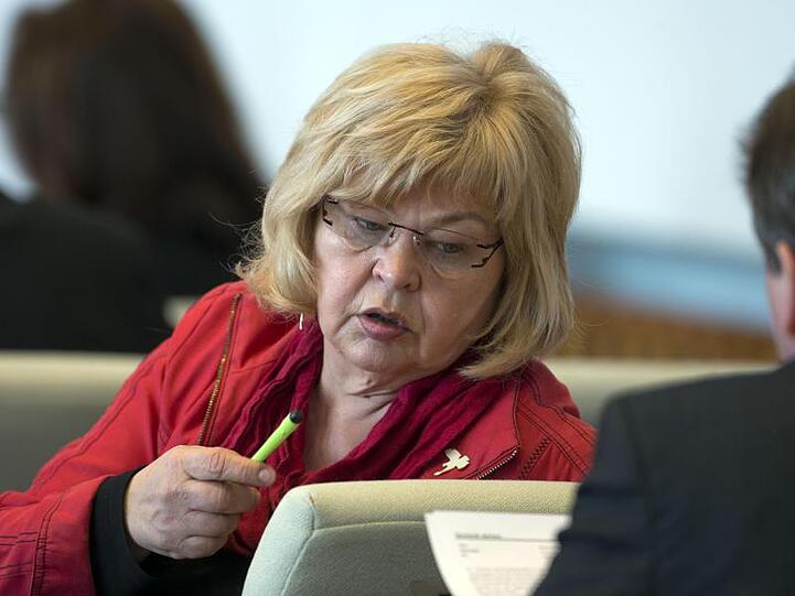Barbara Borchardt 2013 im Landtag in Schwerin.