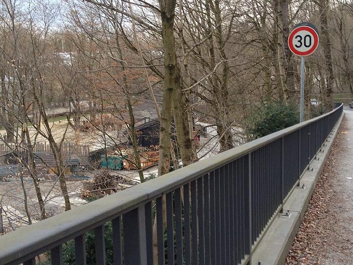 Tierische Begegnung am Morgen: Neugierig beobachten sich Autofahrer und Kamel.