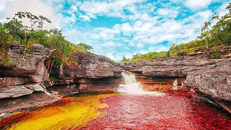 Fünf-Farben-Fluss, Kolumbien: Wie ein Regenbogen! Mit seinen Farben Pink, Grün, Gelb, Schwarz und Rot ist der Cano Cristales im Nationalpark Serrania de la Macarena zu
einer Berühmtheit geworden. Grund für die Farbenpracht sind Pflanzen, die am Grund des Flusses wachsen.