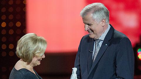 Ministerpräsident Horst Seehofer (CSU) überreicht 2013 der Schauspielerin Ruth-Maria Kubitschek den Ehrenpreis.
