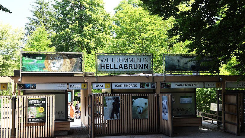 Freude-in-der-Polarwelt-Tierpark-Hellabrunn-feiert-wichtigen-Zuchterfolg