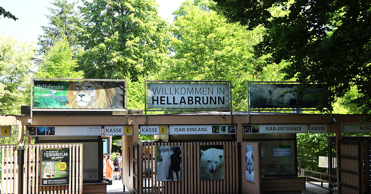 Guck-mal-was-da-huscht-Hellabrunn-hat-eine-neue-Mitbewohnerin