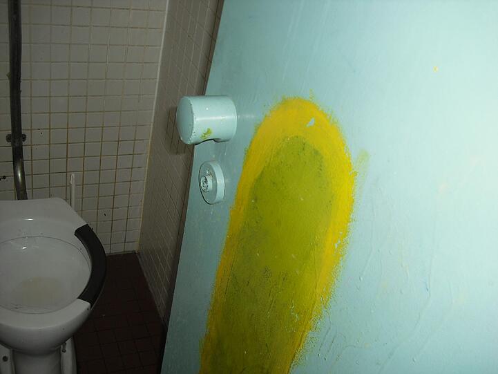 Hausgemachtes Ärgernis: Die Wände der meisten Toiletten in der Ridlerschule sind vollgeschmiert.
