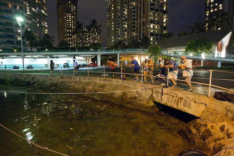 Noch ist das Wasser im hafen von Honolulu ruhig. Die Tsunamiwarnung kam am frühen Morgen.