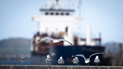 Das Wetter zum Wochenende wird wechselhaft.