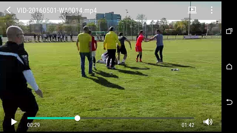 Die Zuschauer des Amateurfußballspiels am Samstag in Harthof bekamen neben Ballsport auch eine Profibox-Einlage zu sehen.
