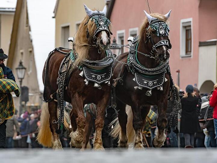Pferde werden zum Berchinger Rossmarkt geführt. Foto: Armin Weigel/dpa/Archivbild