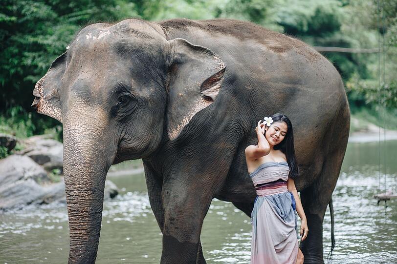 Auch bei gef&auml;hrlichen Tier-Selfies steht Indien mit an der Spitze. Immer wieder enden solche Fotos t&ouml;dlich - etwa mit Elefanten, die sich bedroht f&uuml;hlen. In Thailand kam es auch schon mehrfach zu Unf&auml;llen, wenn Touristen f&uuml;r ein Erinnerungsfoto zu nah an die Dickh&auml;uter herantraten. Besonders problematisch sind Fotoshootings mit Tigern oder L&ouml;wen, die hierf&uuml;r teils sediert werden.