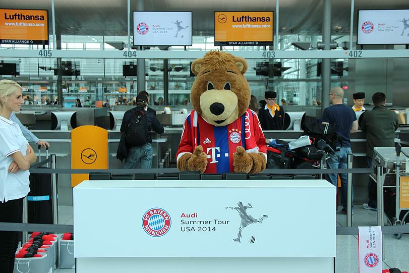 Maskottchen Berni freut sich auf die US-Tour des FC Bayern.